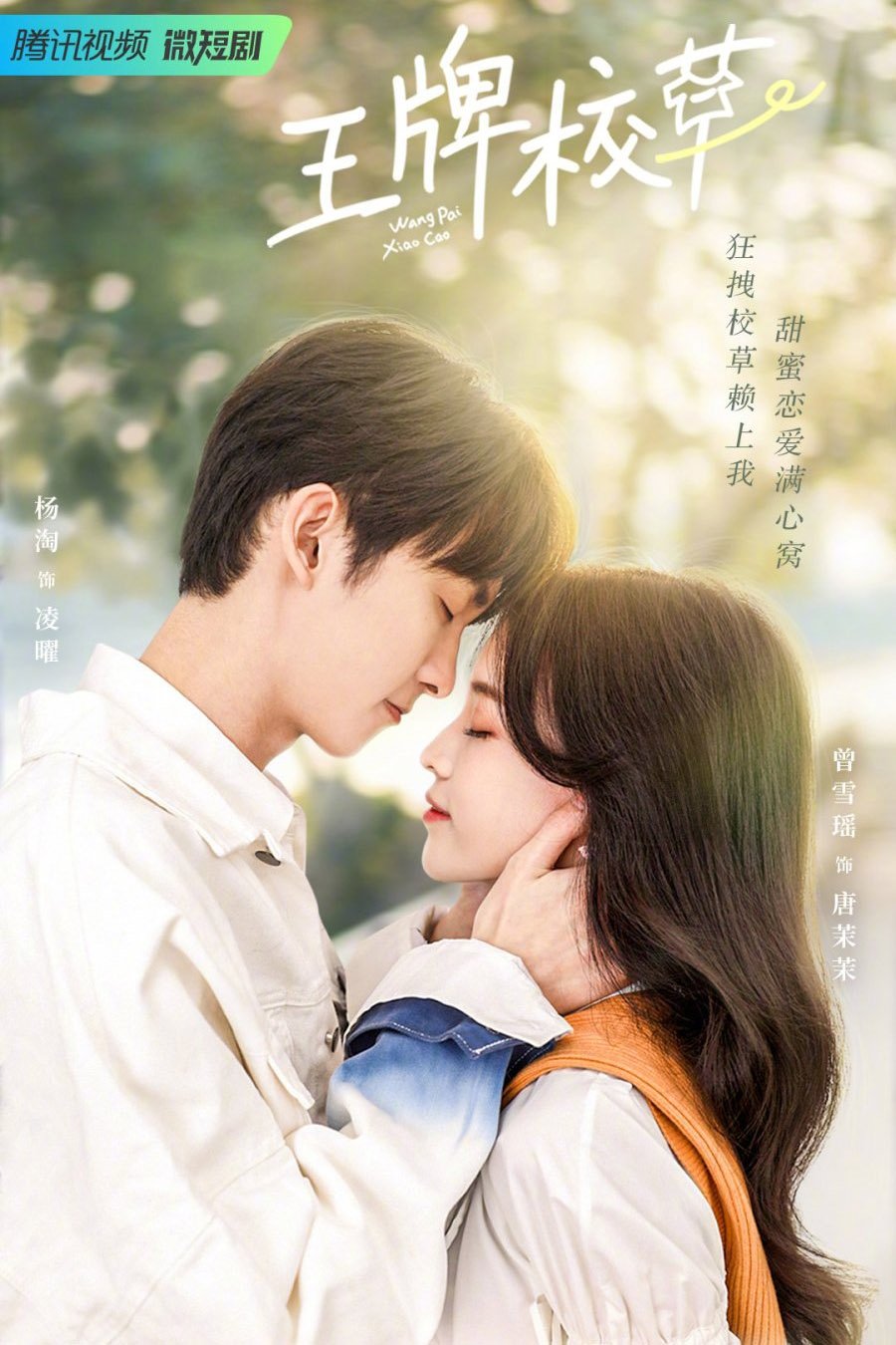 Poster de Temporada 1