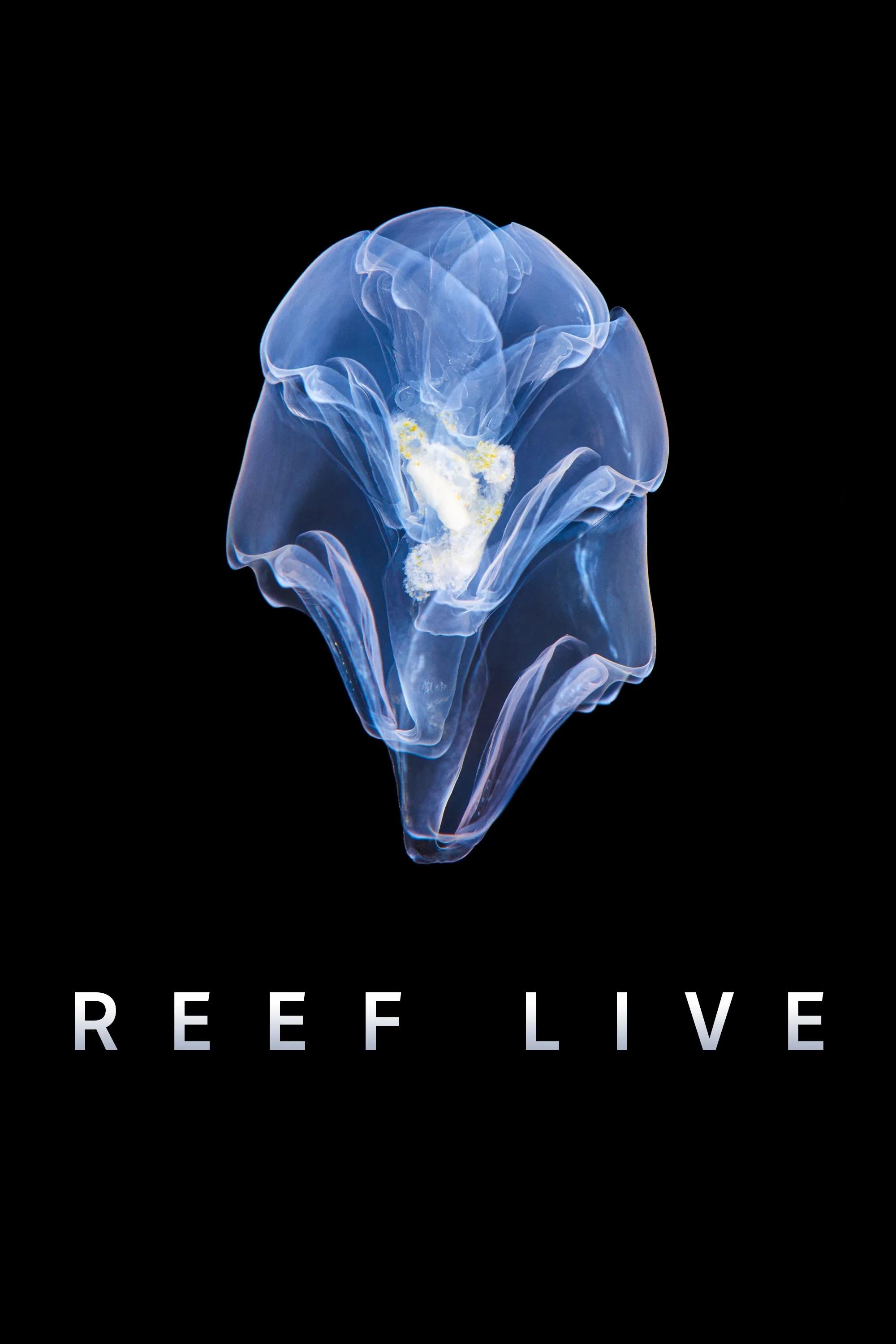 Poster de Reef Live