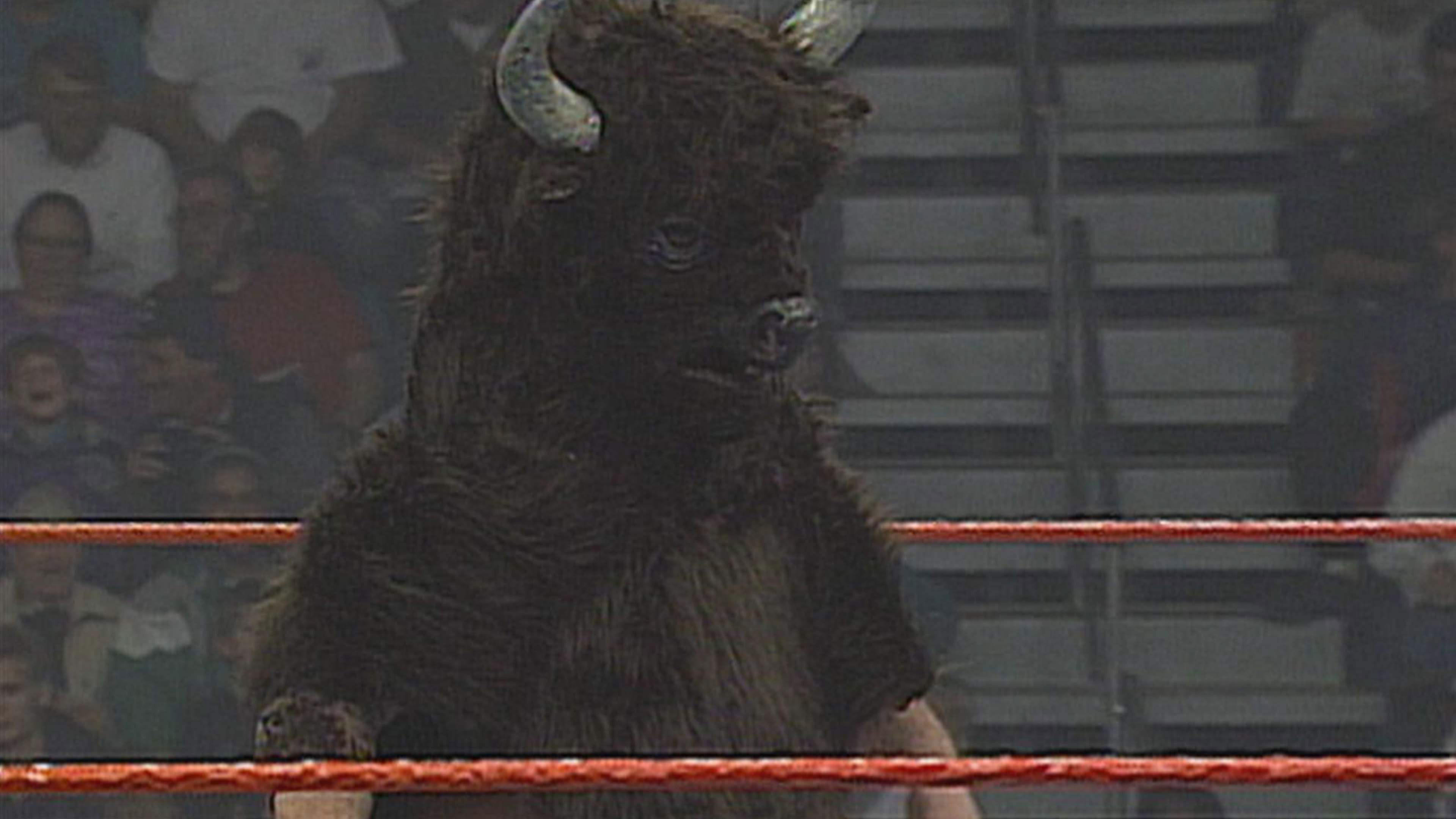 Superstars - Jan. 07, 1995