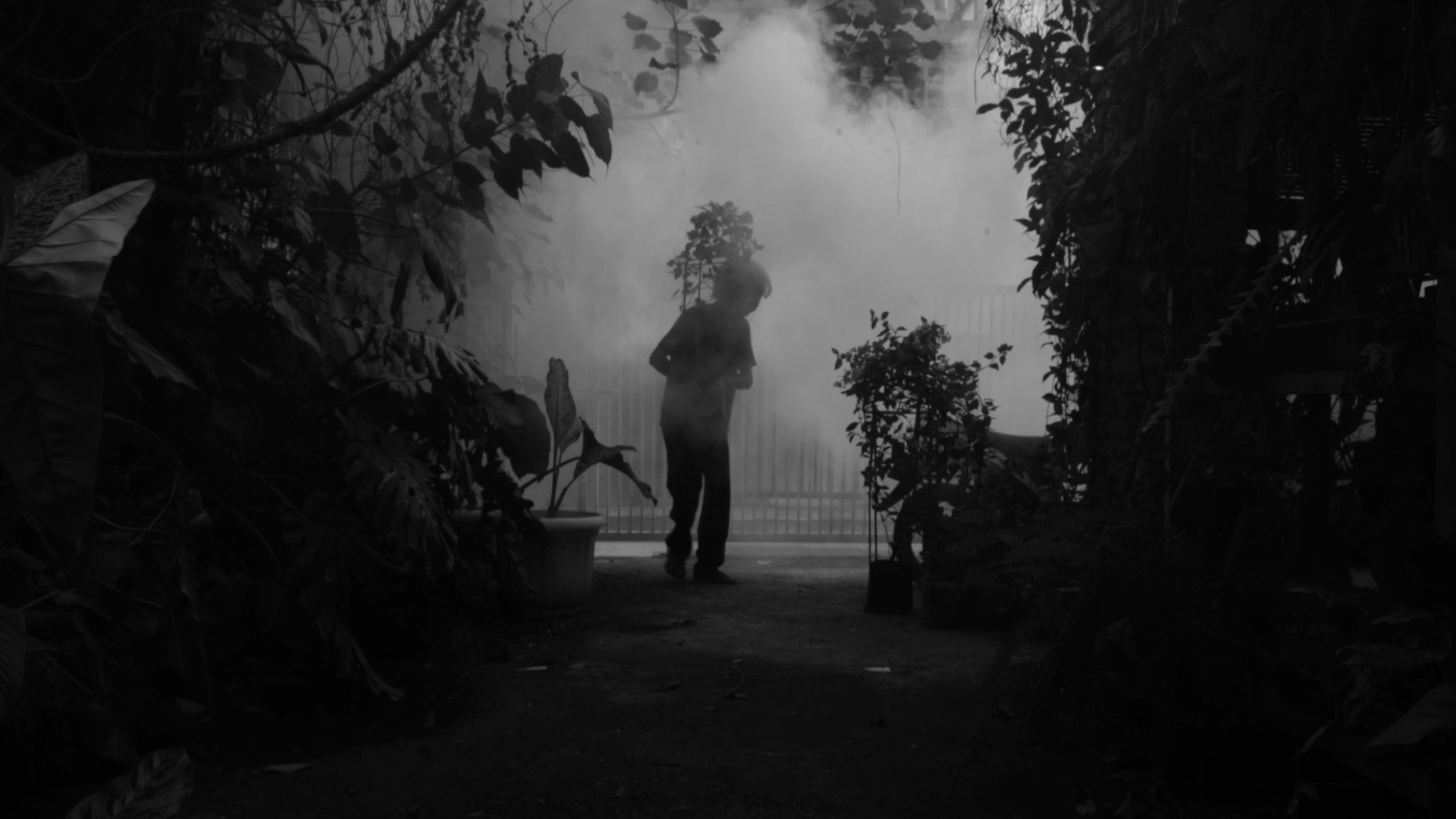 Director