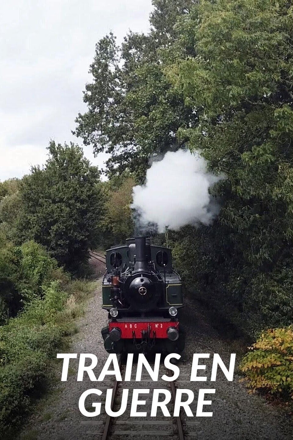 Poster de Trains en guerre