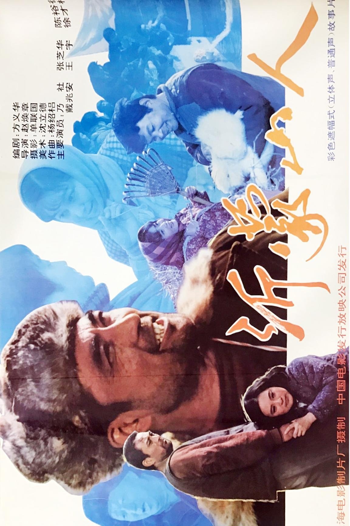 Poster de 沂蒙山人