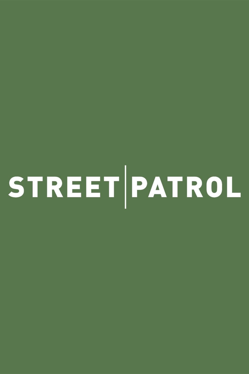 Poster de Street Patrol