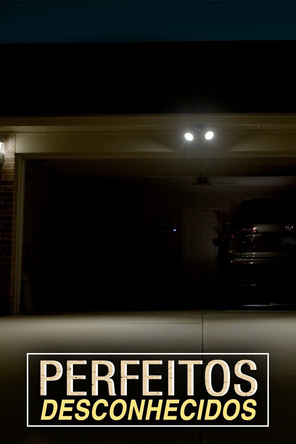 Poster de Perfeitos Desconhecidos