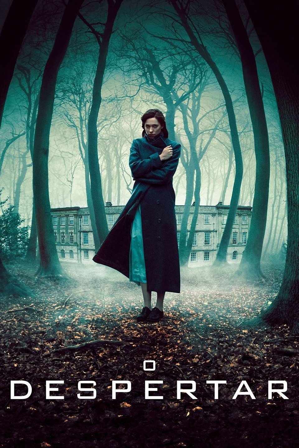 Poster de O Despertar