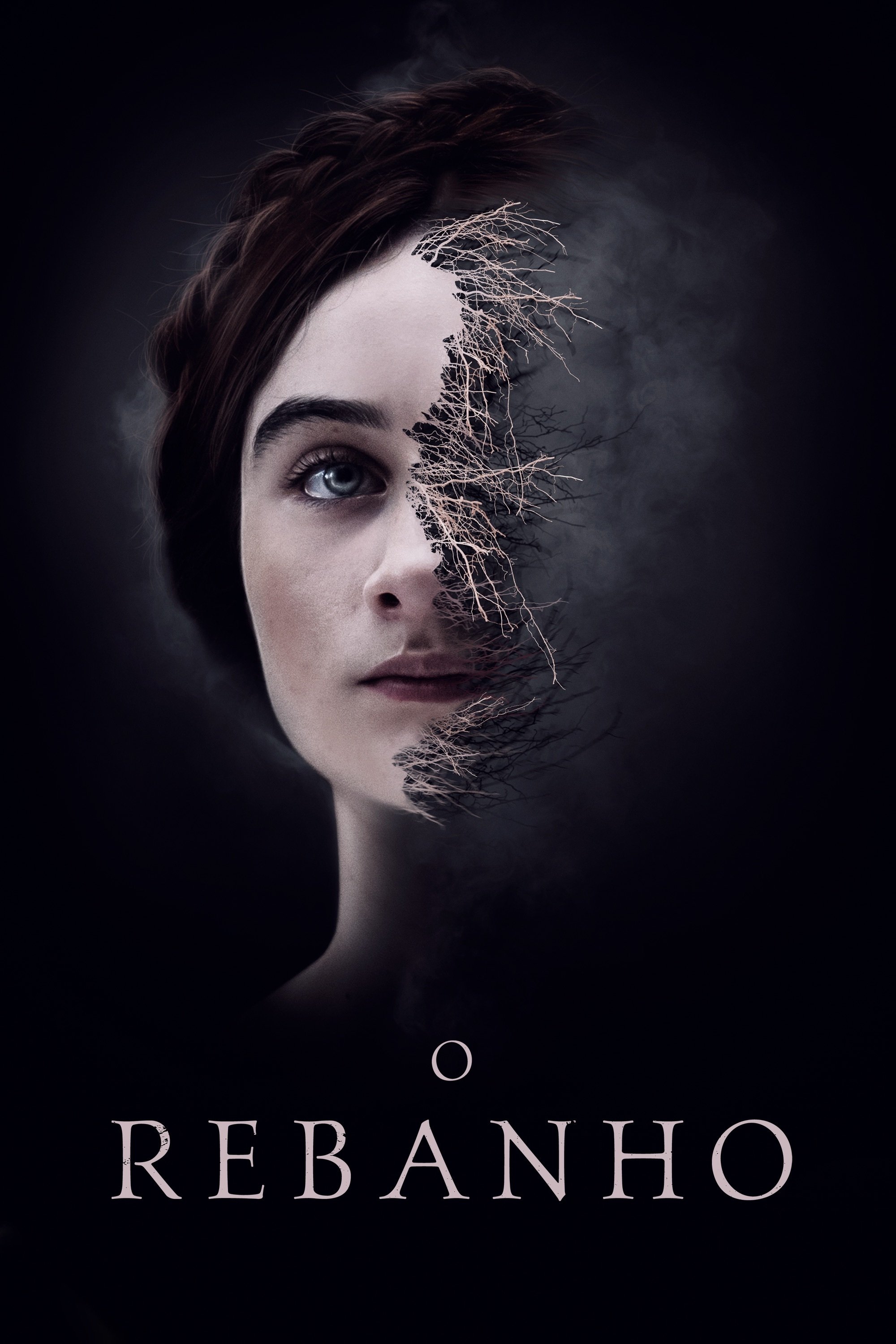 Poster de O Rebanho
