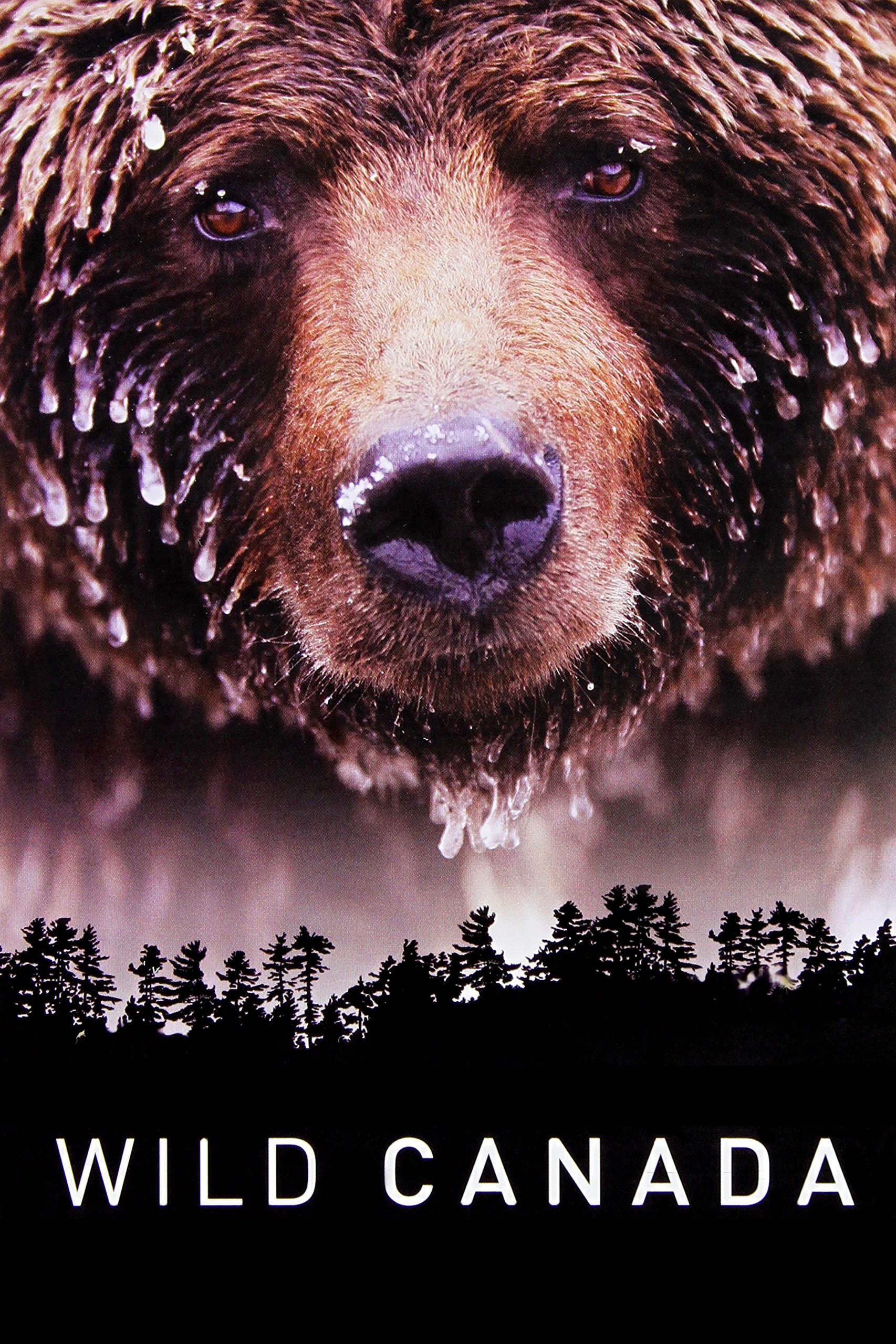 Poster de Canadá Selvagem