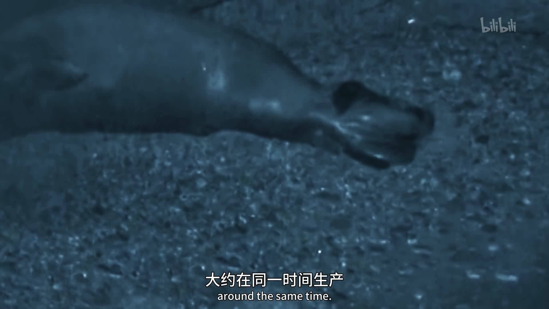 Episode 3