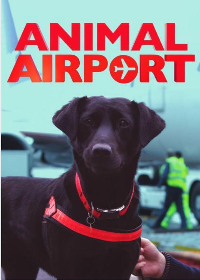Poster de Animal Airport