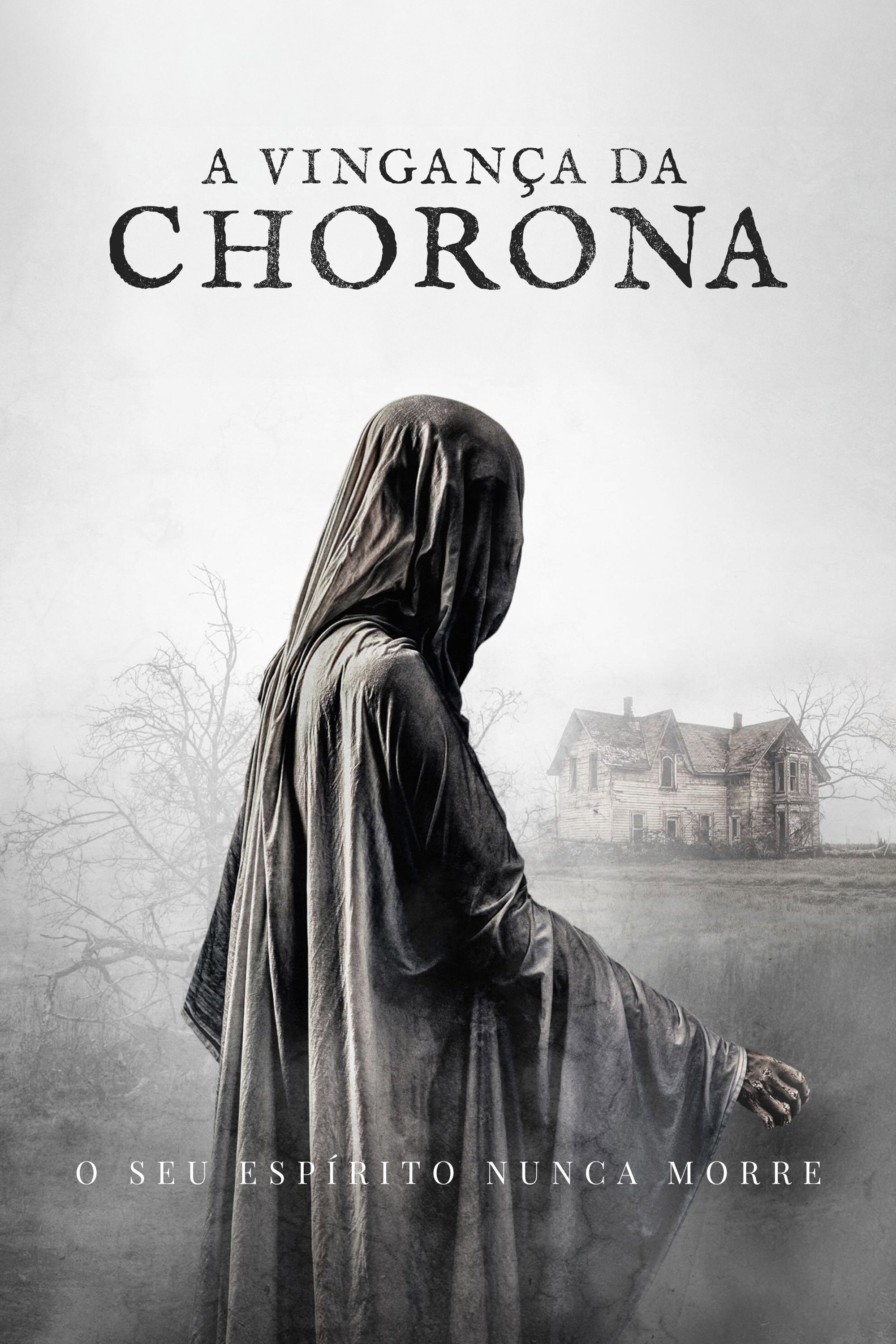 Poster de A Vingança da Chorona