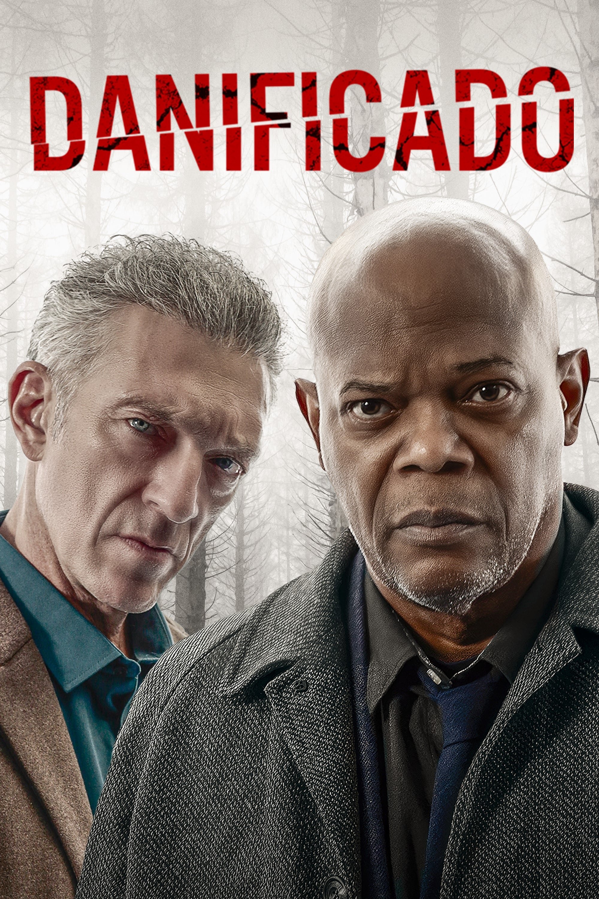 Poster de Danificado
