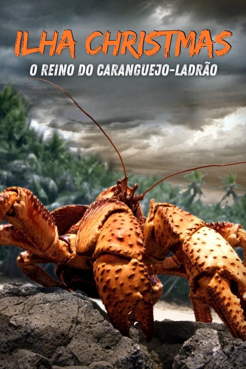 Poster de Ilha Christmas: O Reino do Caranguejo-Ladrão
