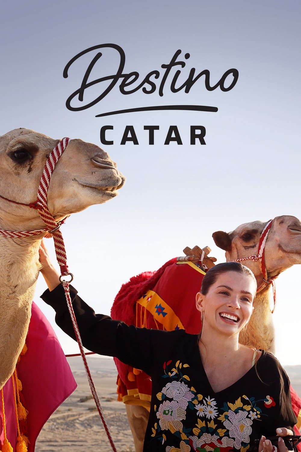 Poster de Destino Catar