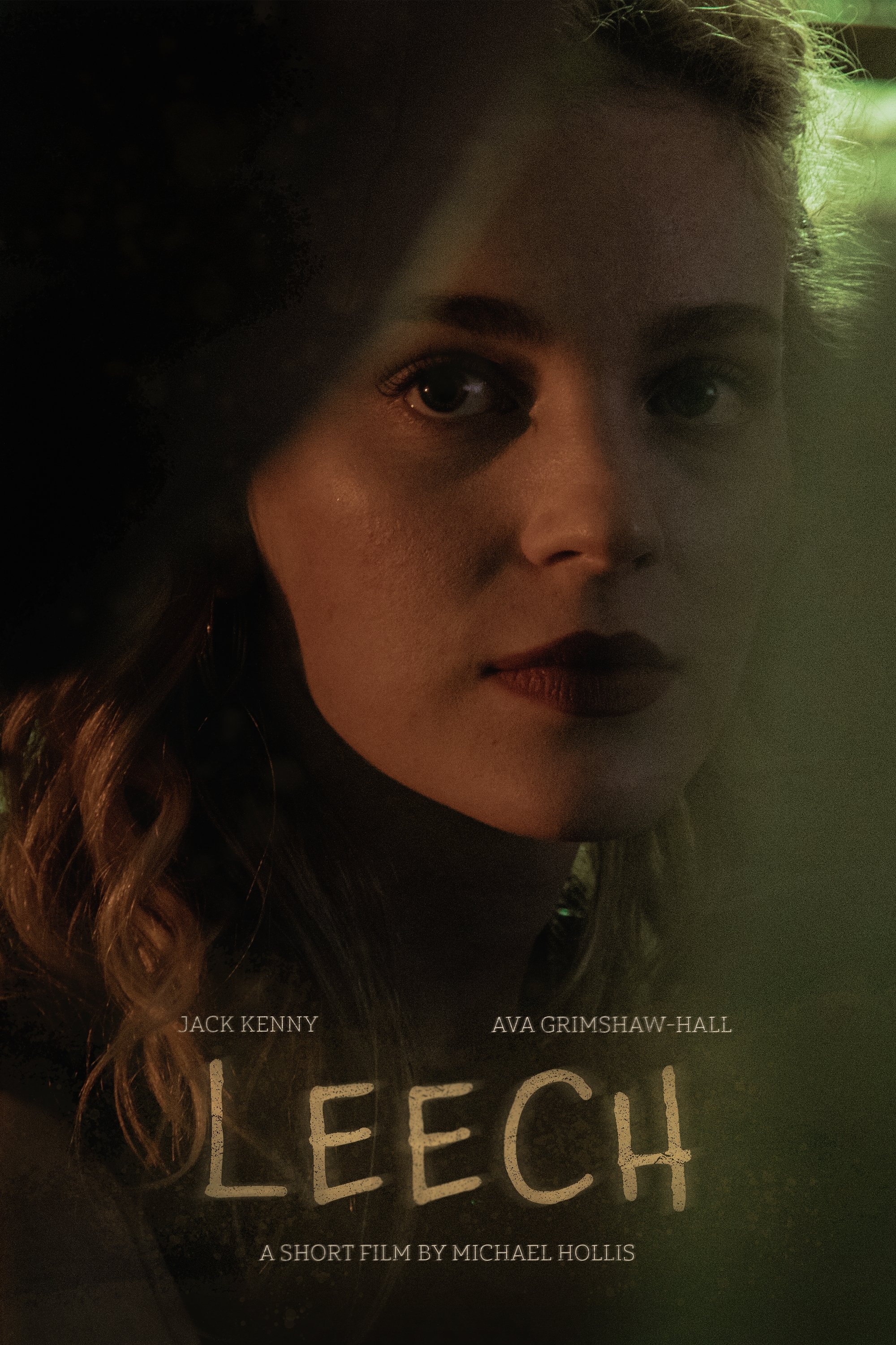 Poster de Leech