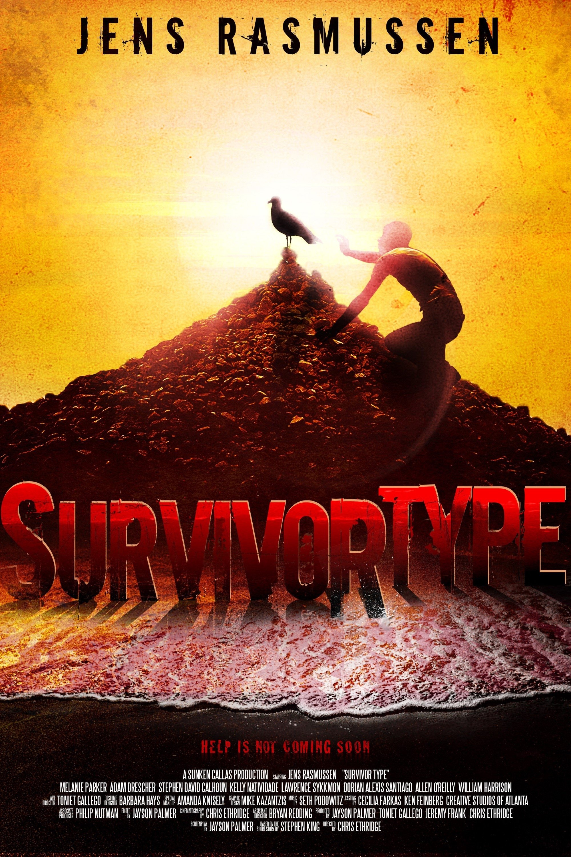 Poster de Survivor Type