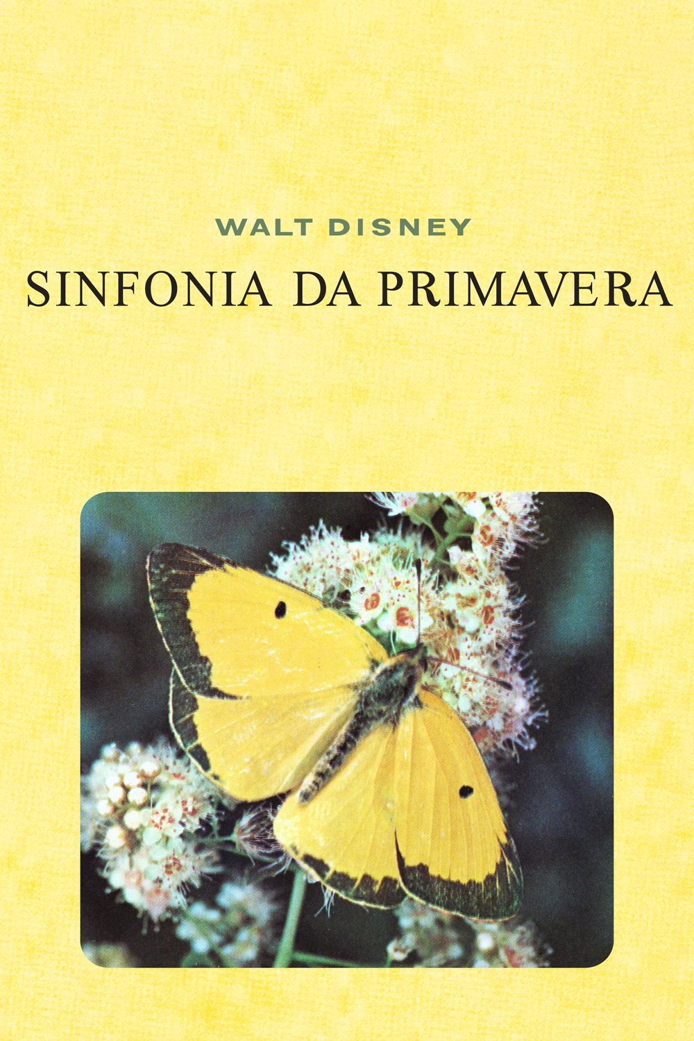 Poster de Sinfonia da Primavera