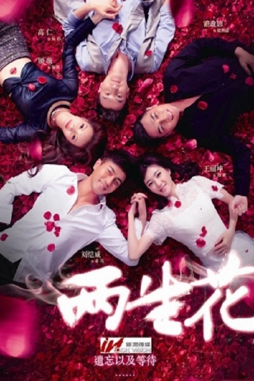 Poster de 两生花