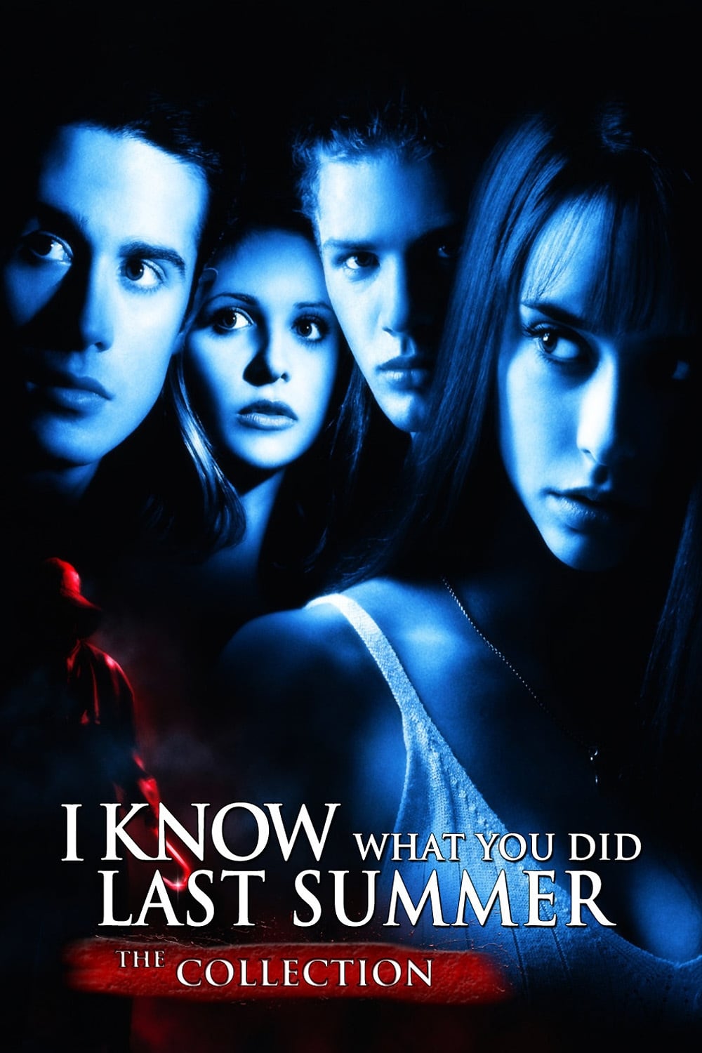 I Know What You Did Last Summer Collection | The Poster Database (TPDb)