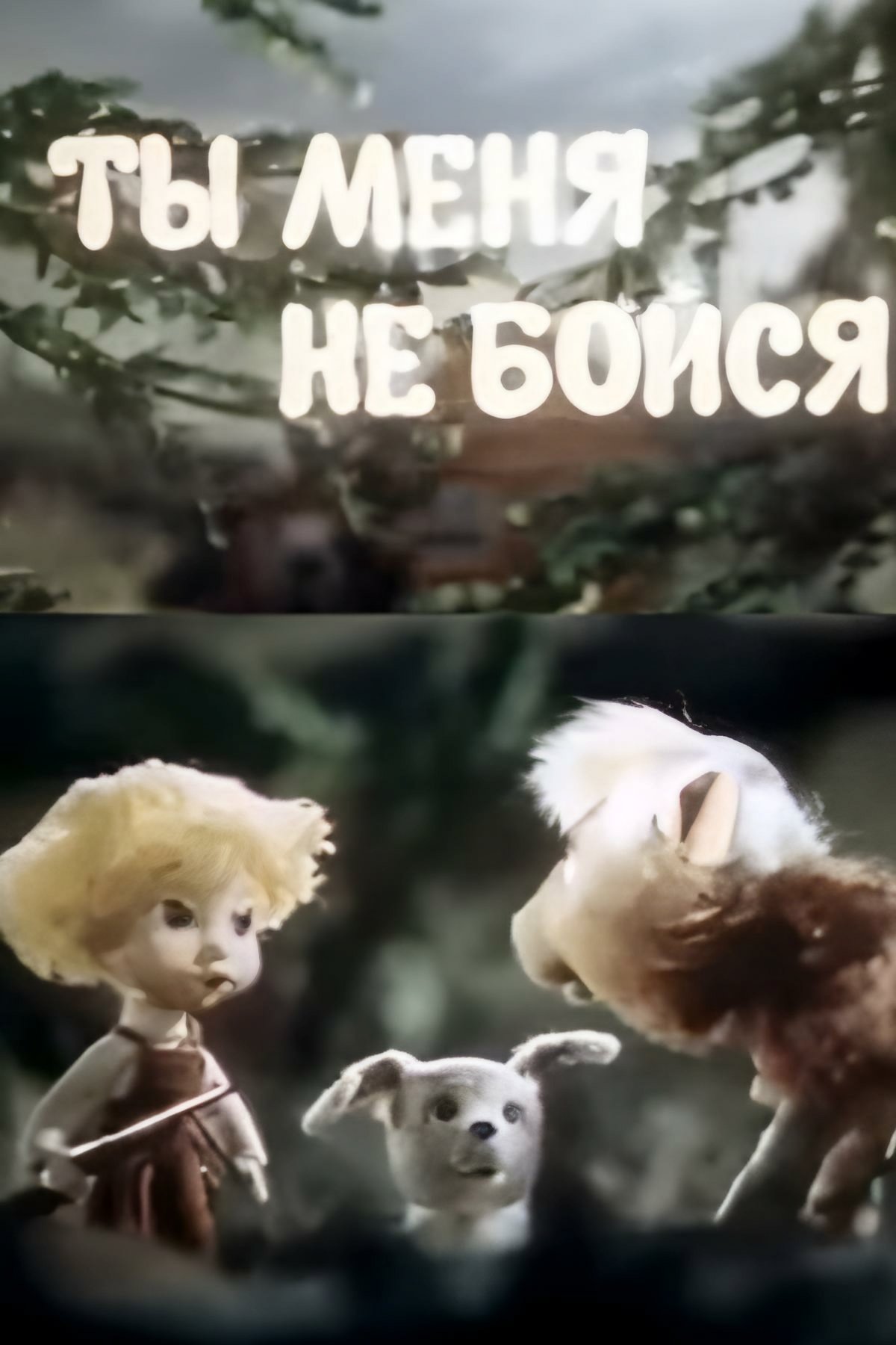 Poster de Ты меня не бойся