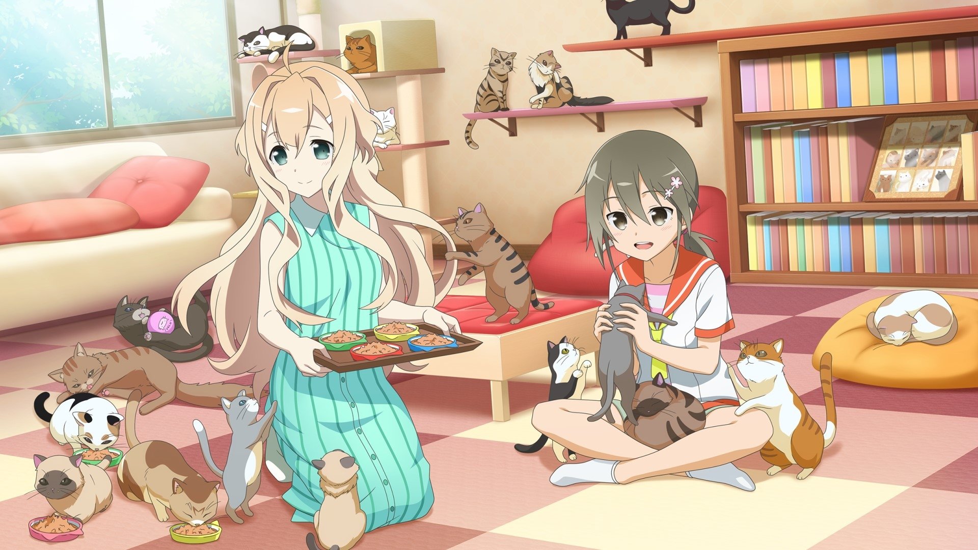 Backdrop image