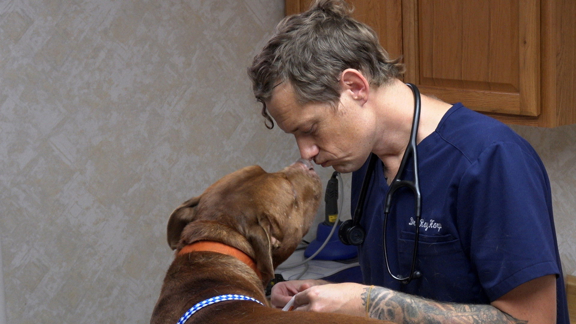 Lights, Camel, Action