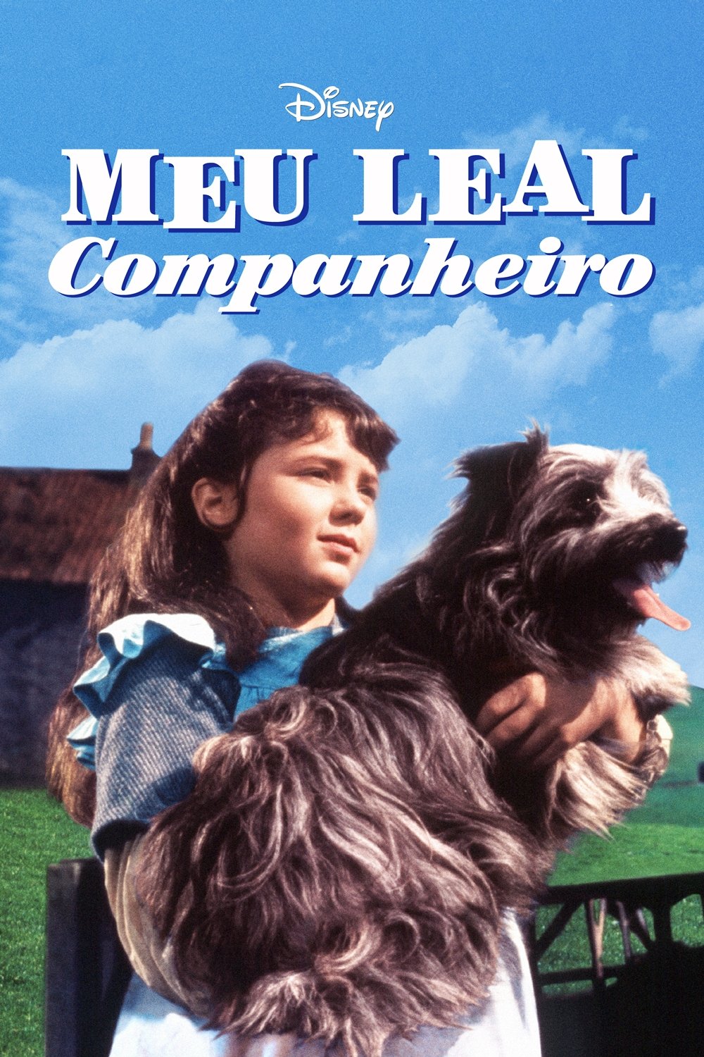Poster de Meu Leal Companheiro