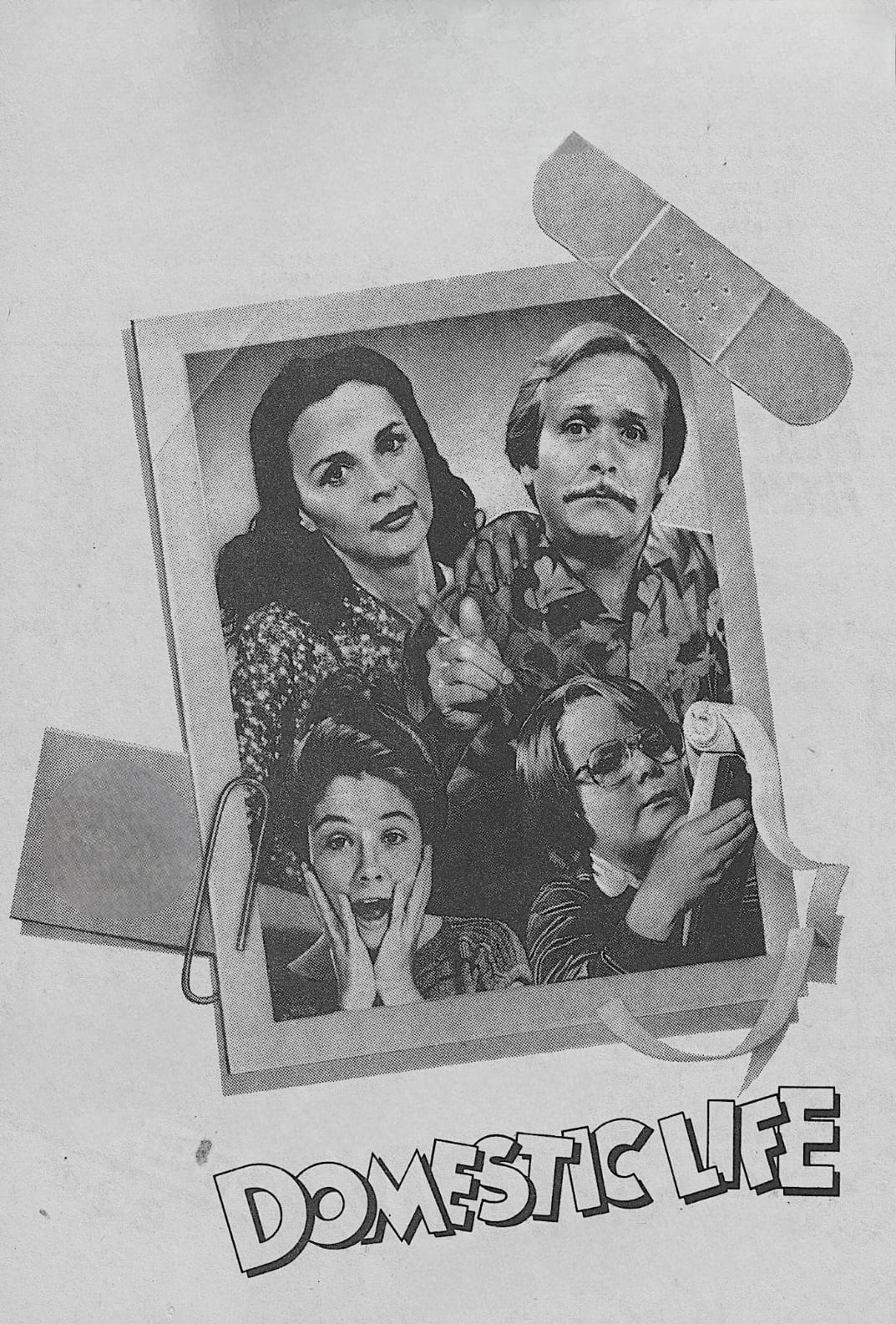 Poster de Domestic Life