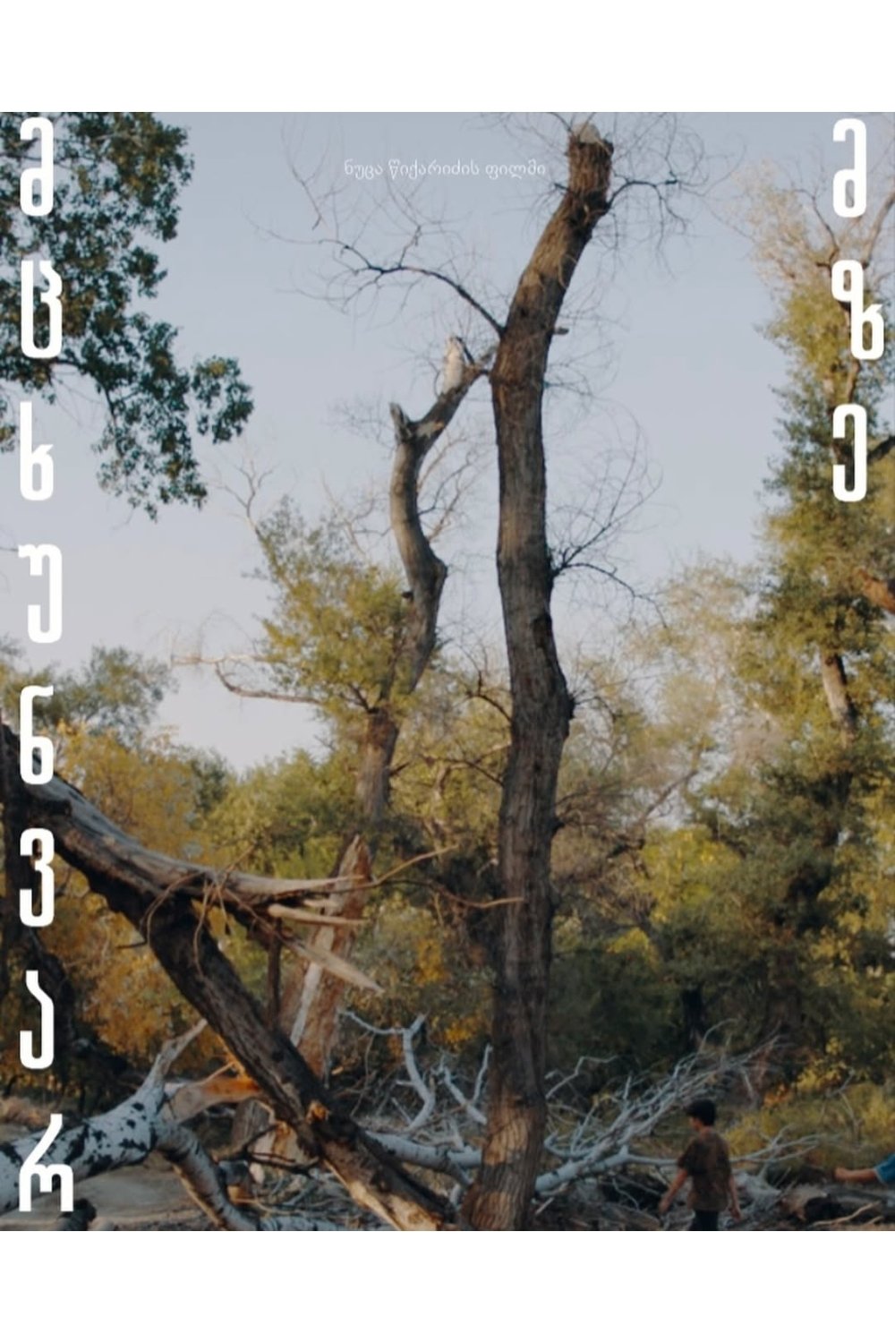 Card example background