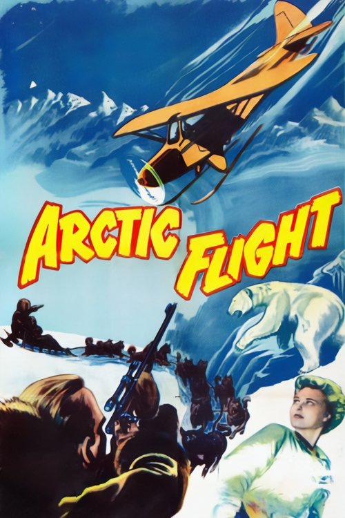 Poster de Arctic Flight