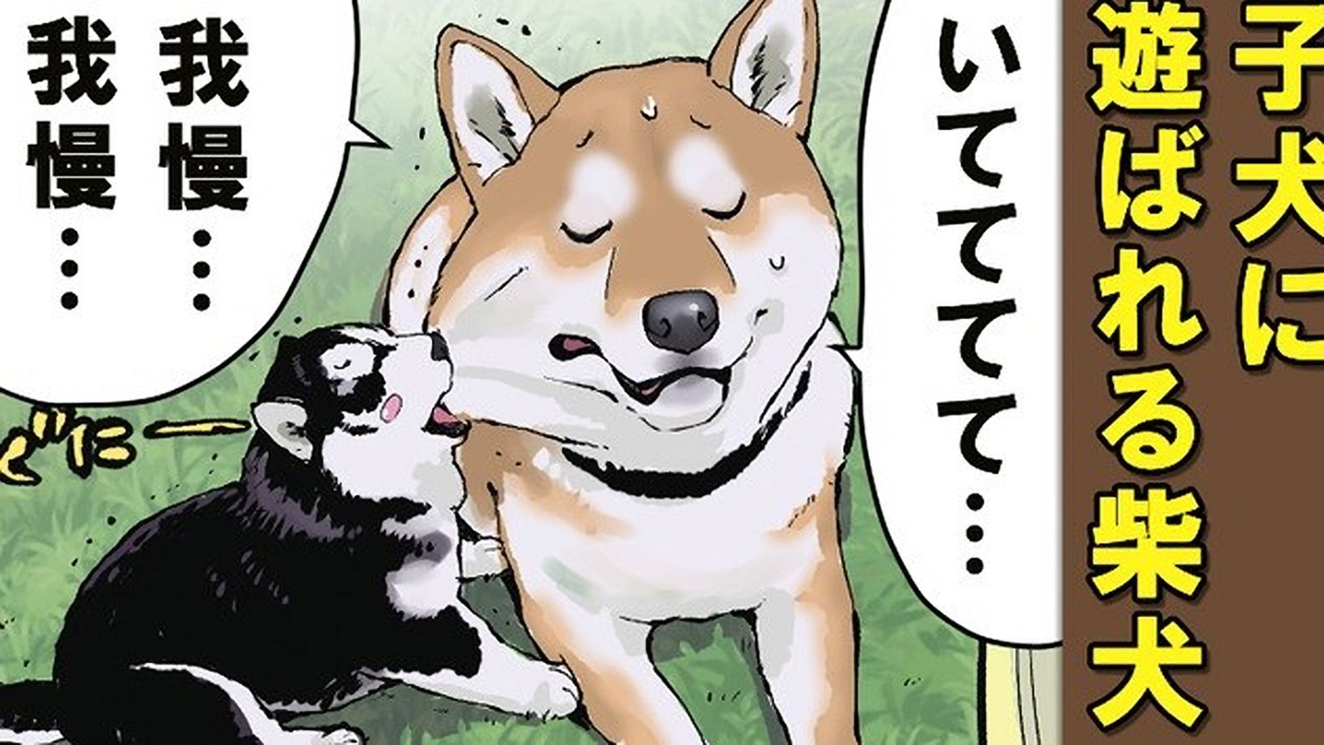 The Lady of the Spring / The Fountain of Youth / Teach Me, Haru-wan