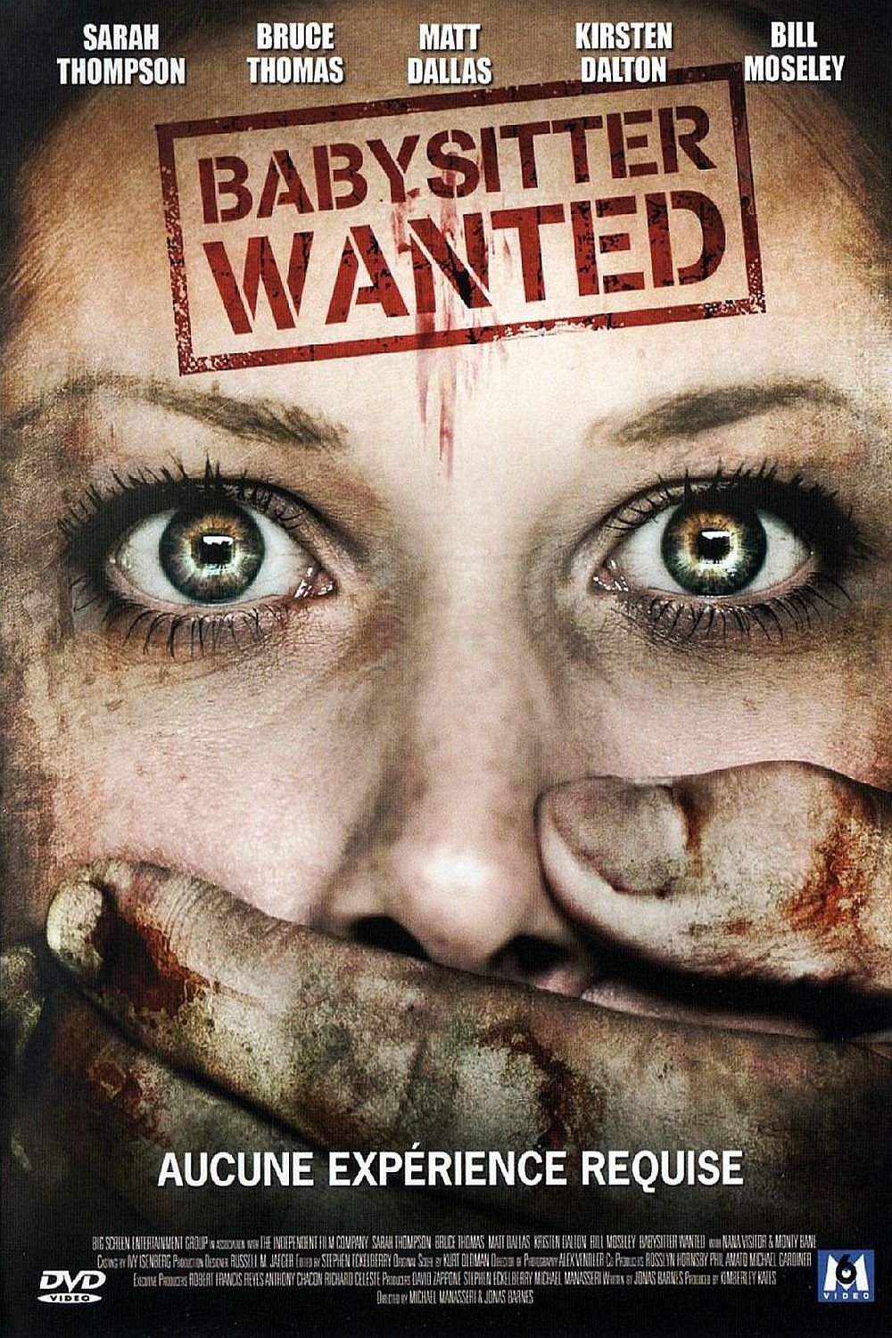 Affiche du film Babysitter Wanted