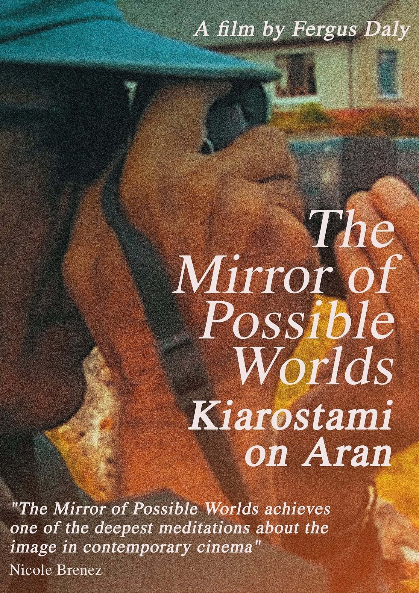 Poster de The Mirror of Possible Worlds: Kiarostami on Aran