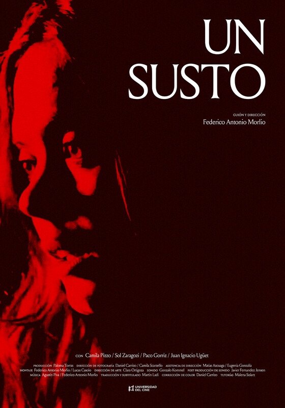 Poster de Un susto