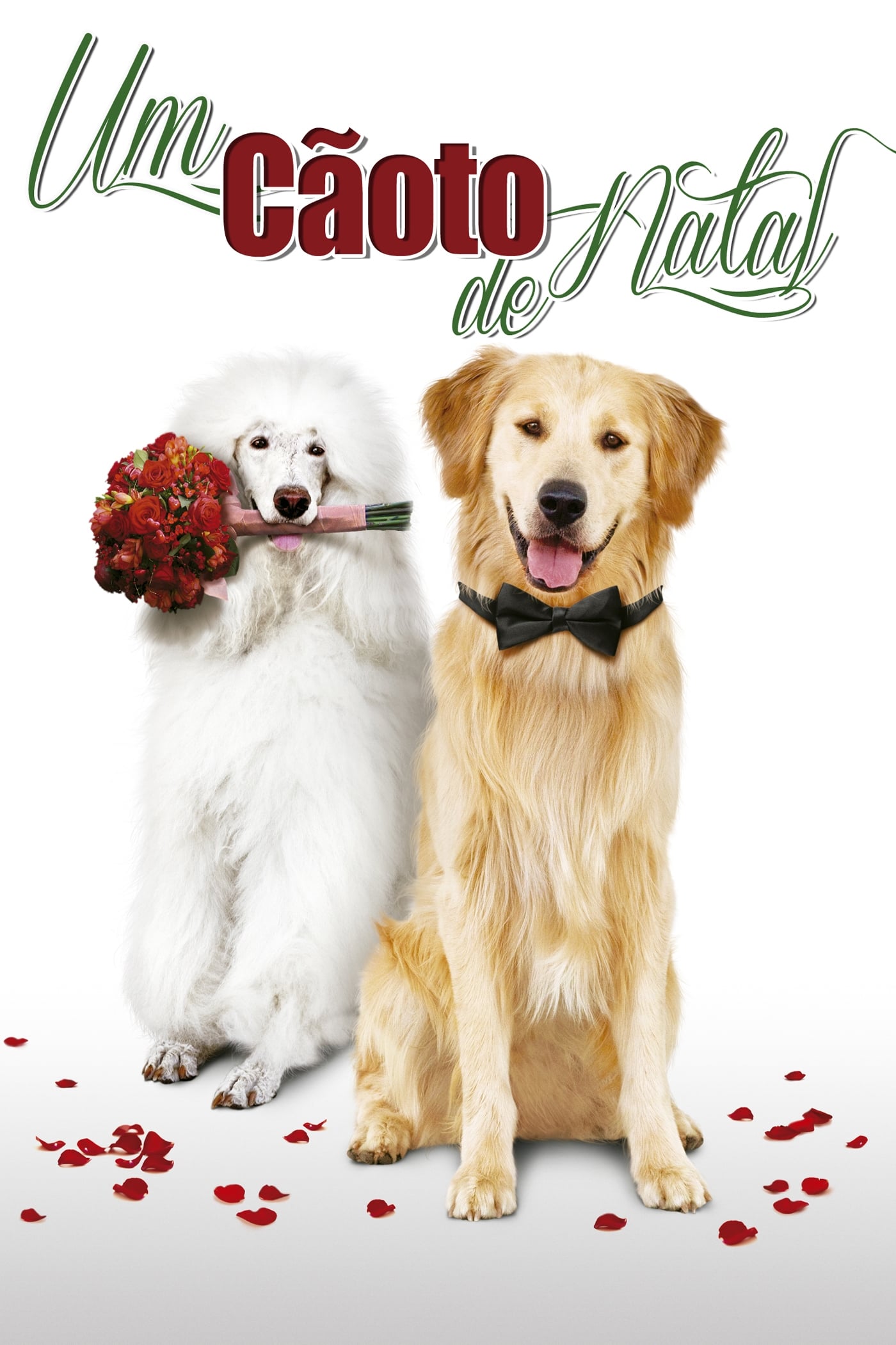 Poster de Um Cãoto de Natal
