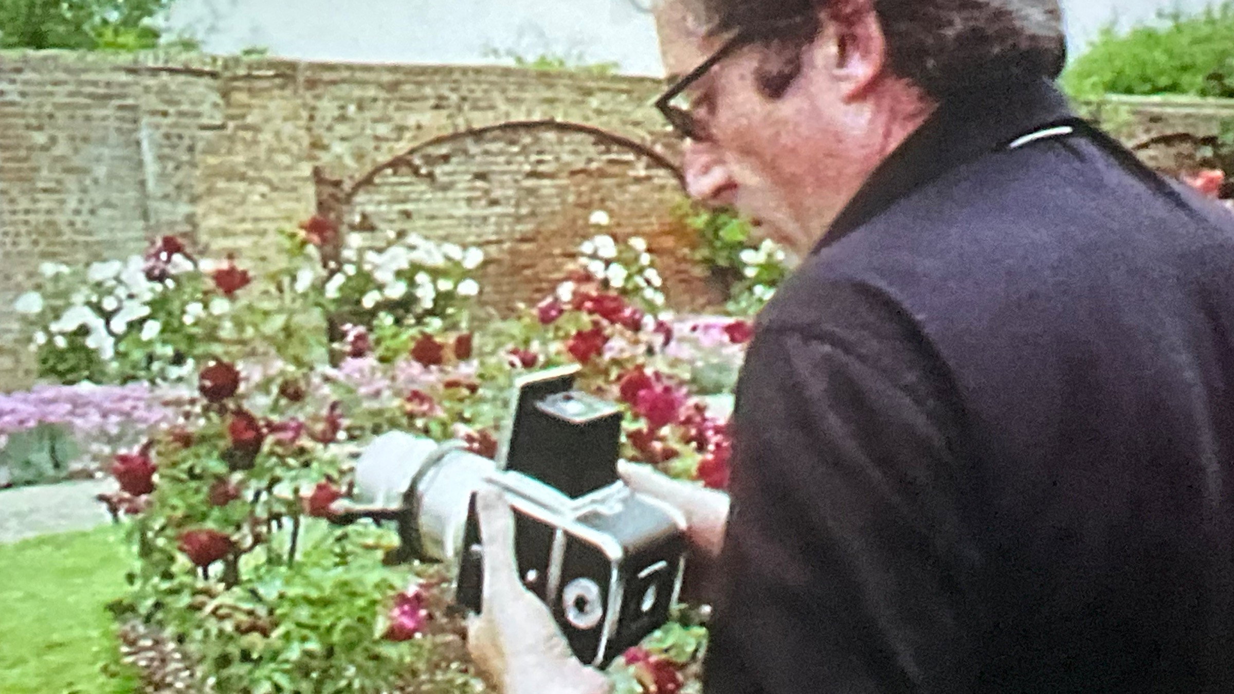 Director