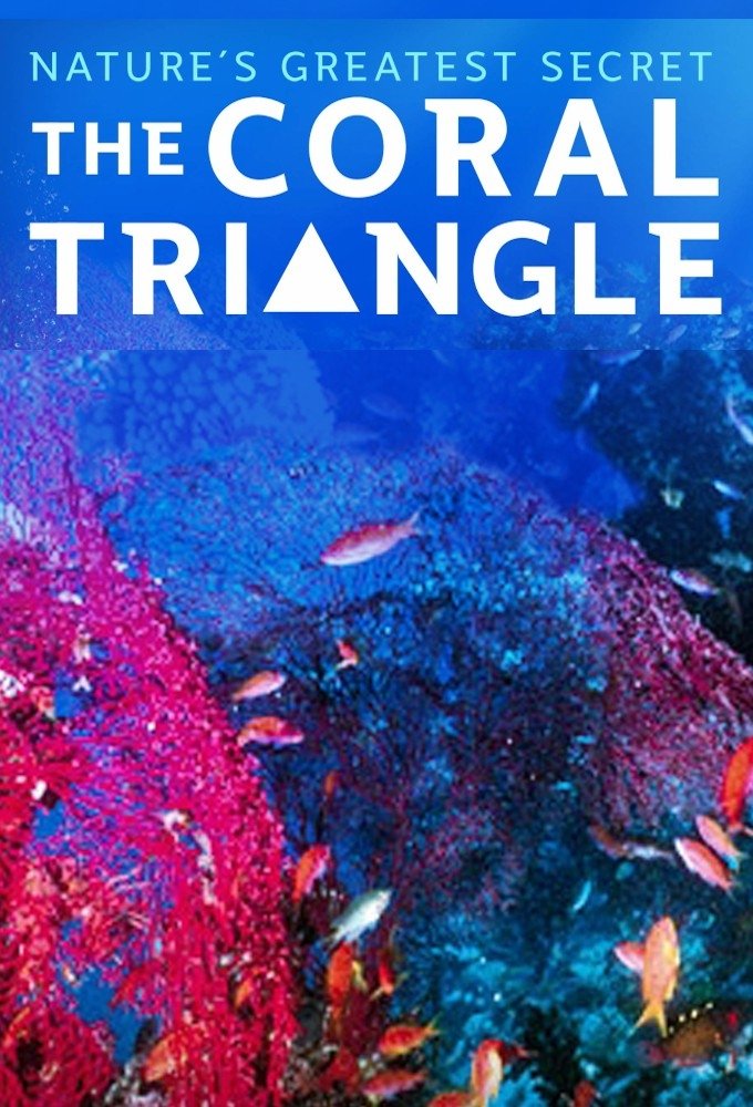 Poster de Coral Triangle