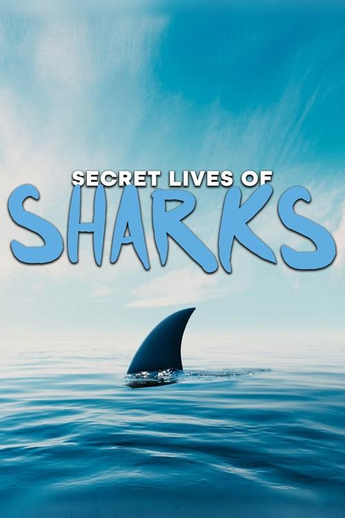 Poster de The Secret Lives of Sharks