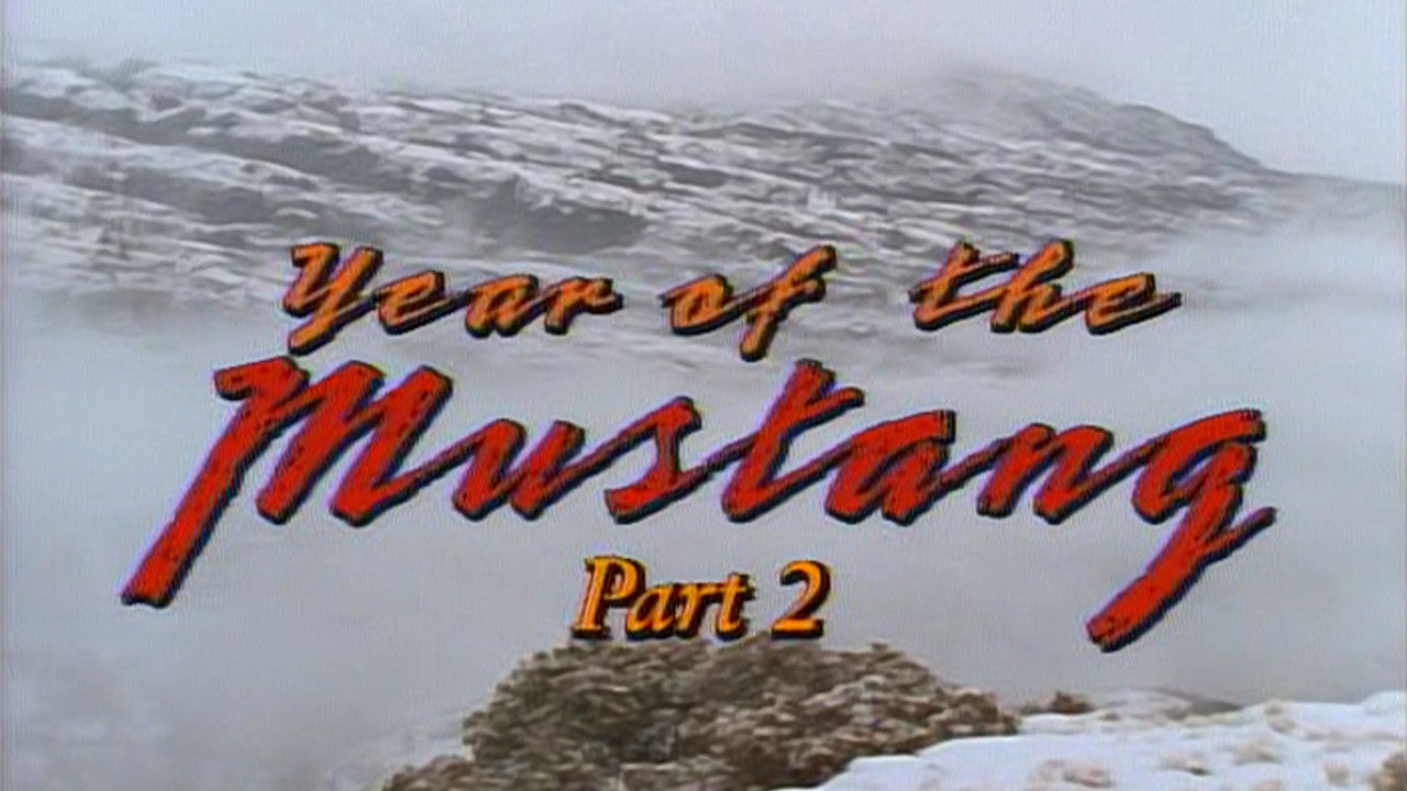 Year of the Mustang, Part 2