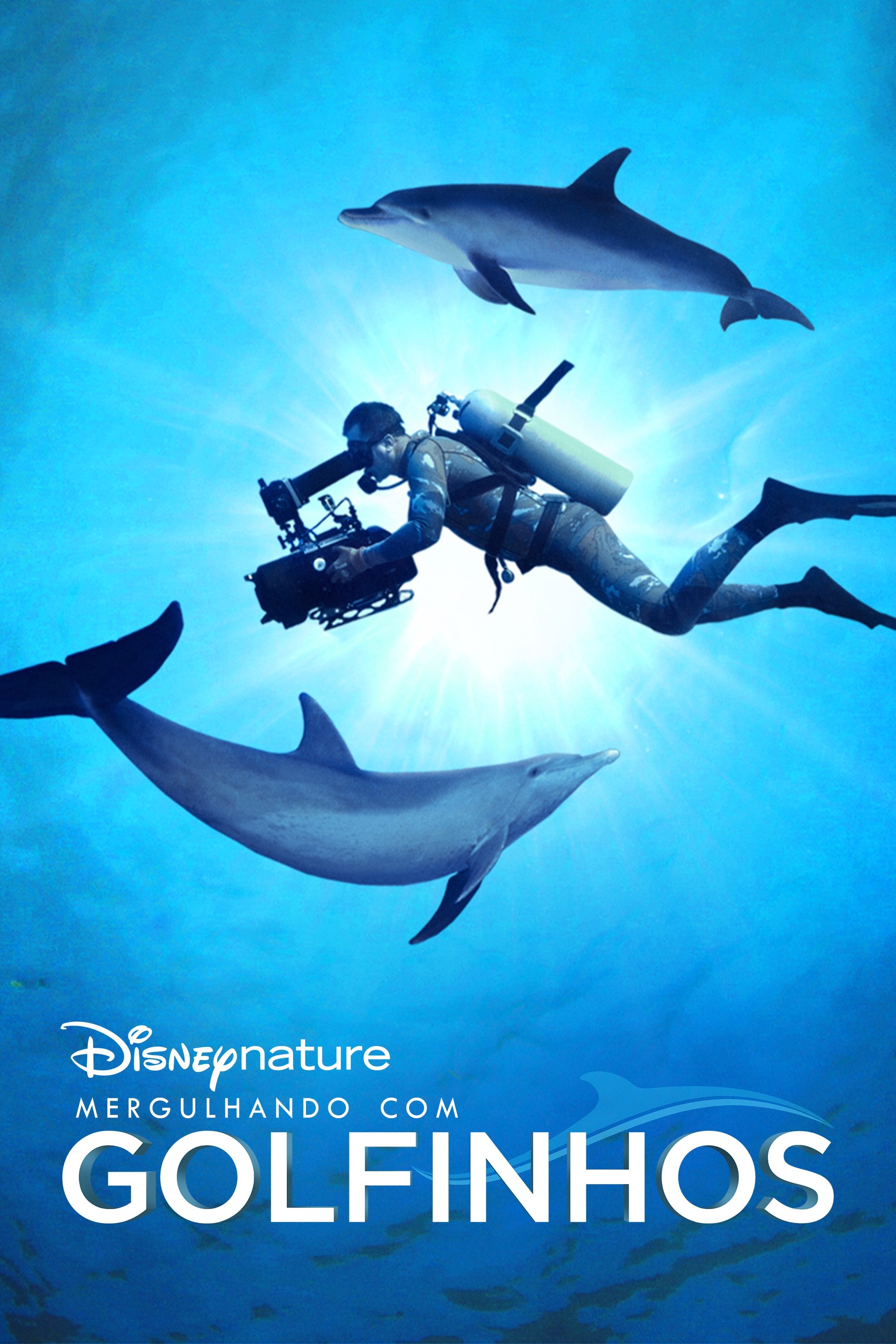 Poster de Mergulhando com os Golfinhos