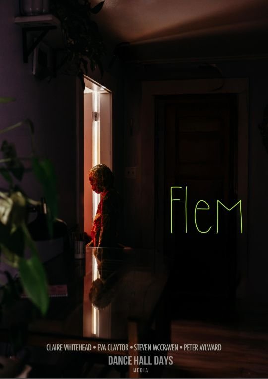 Poster de Flem