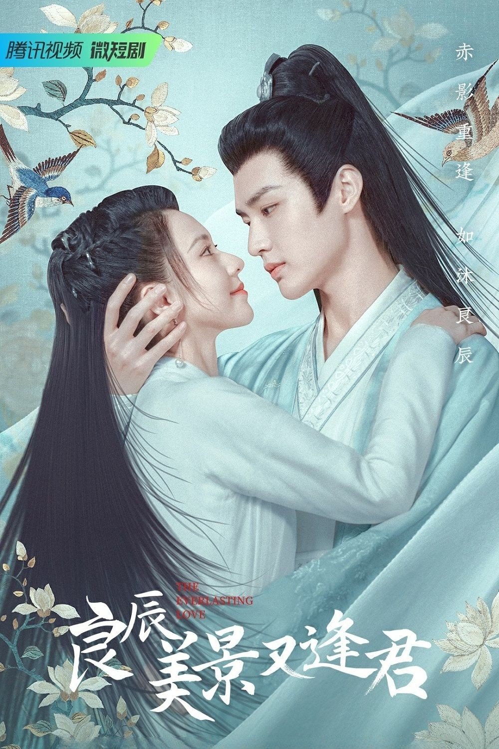 Poster de 良辰美景又逢君