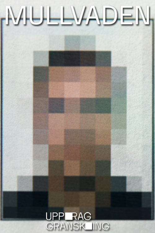 Poster de Uppdrag granskning - Mullvaden