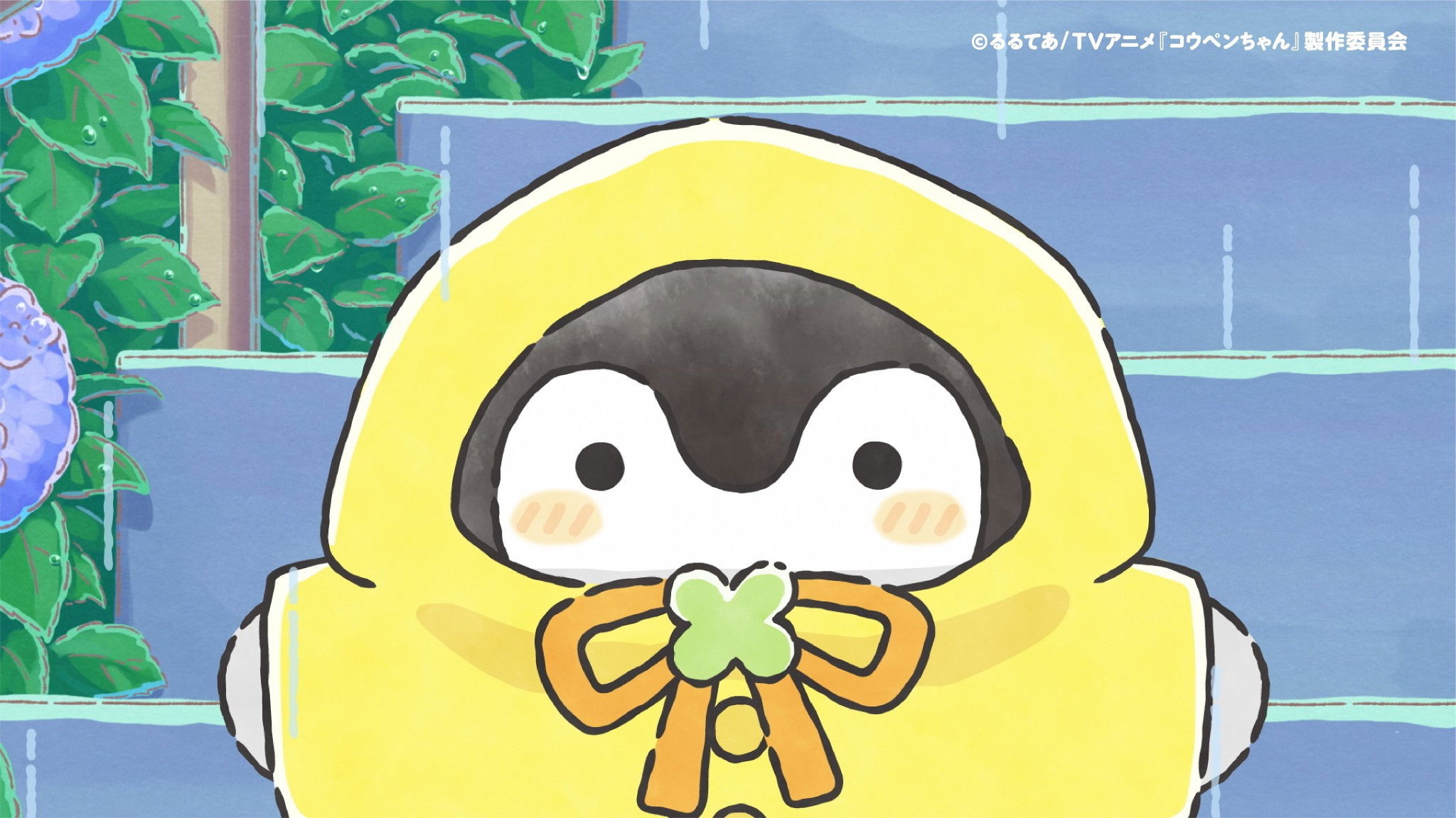 Melody of the Rainy Season