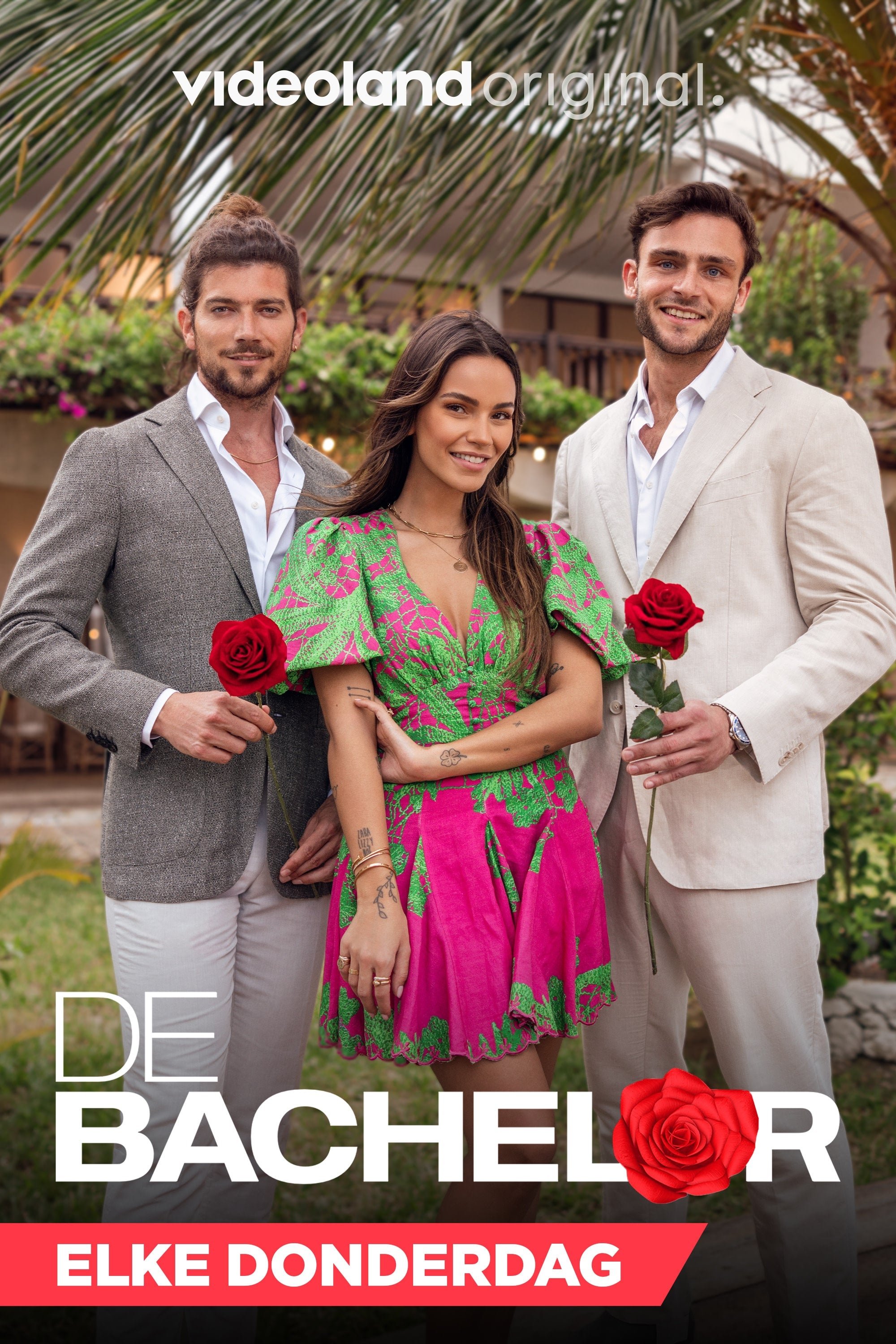 Poster de De Bachelor