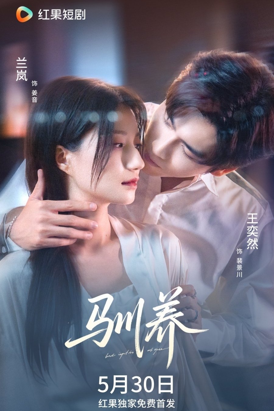 Poster de 驯养