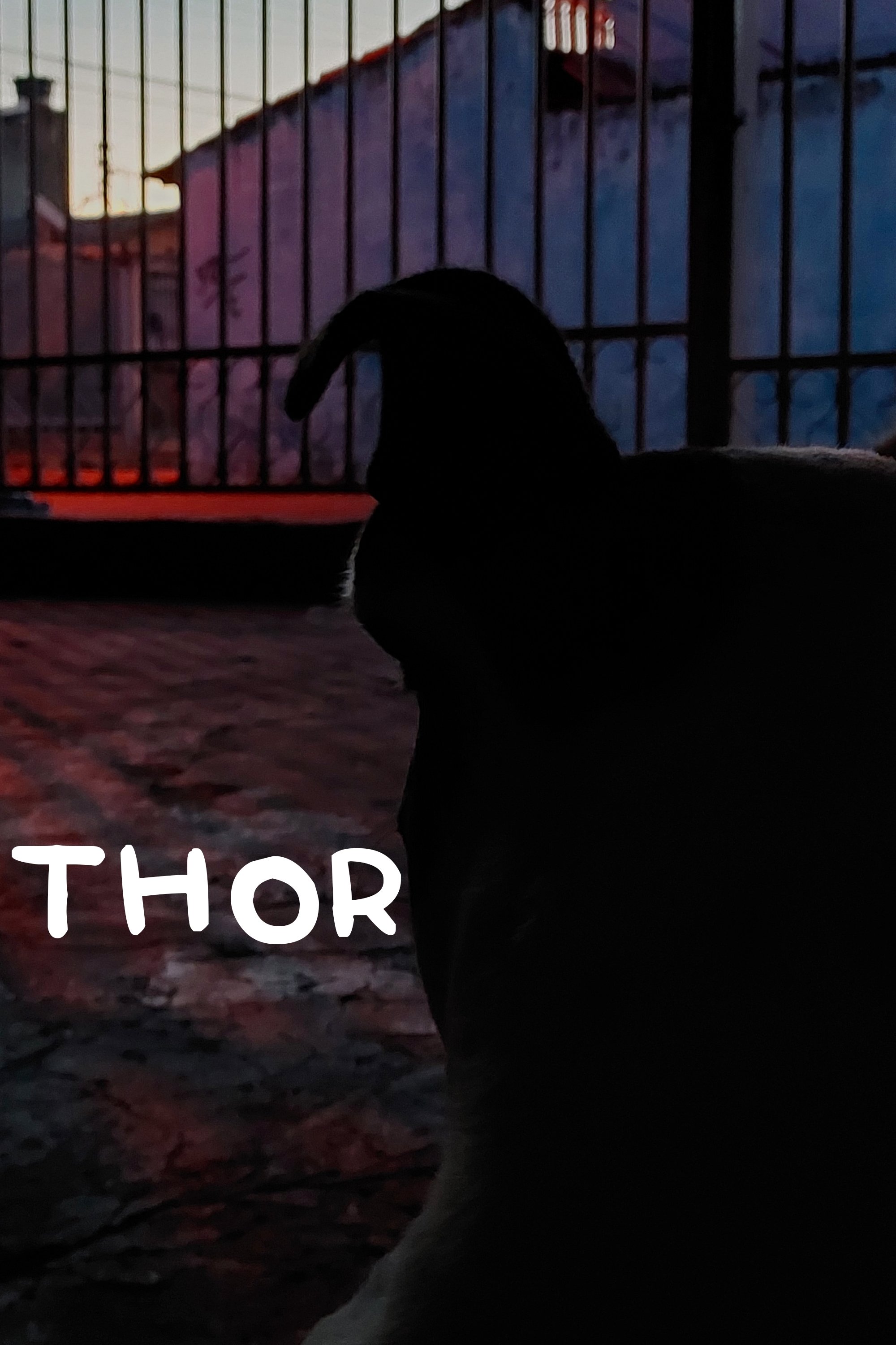 Poster de Thor