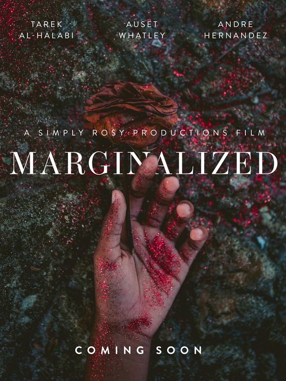 Poster de Marginalized