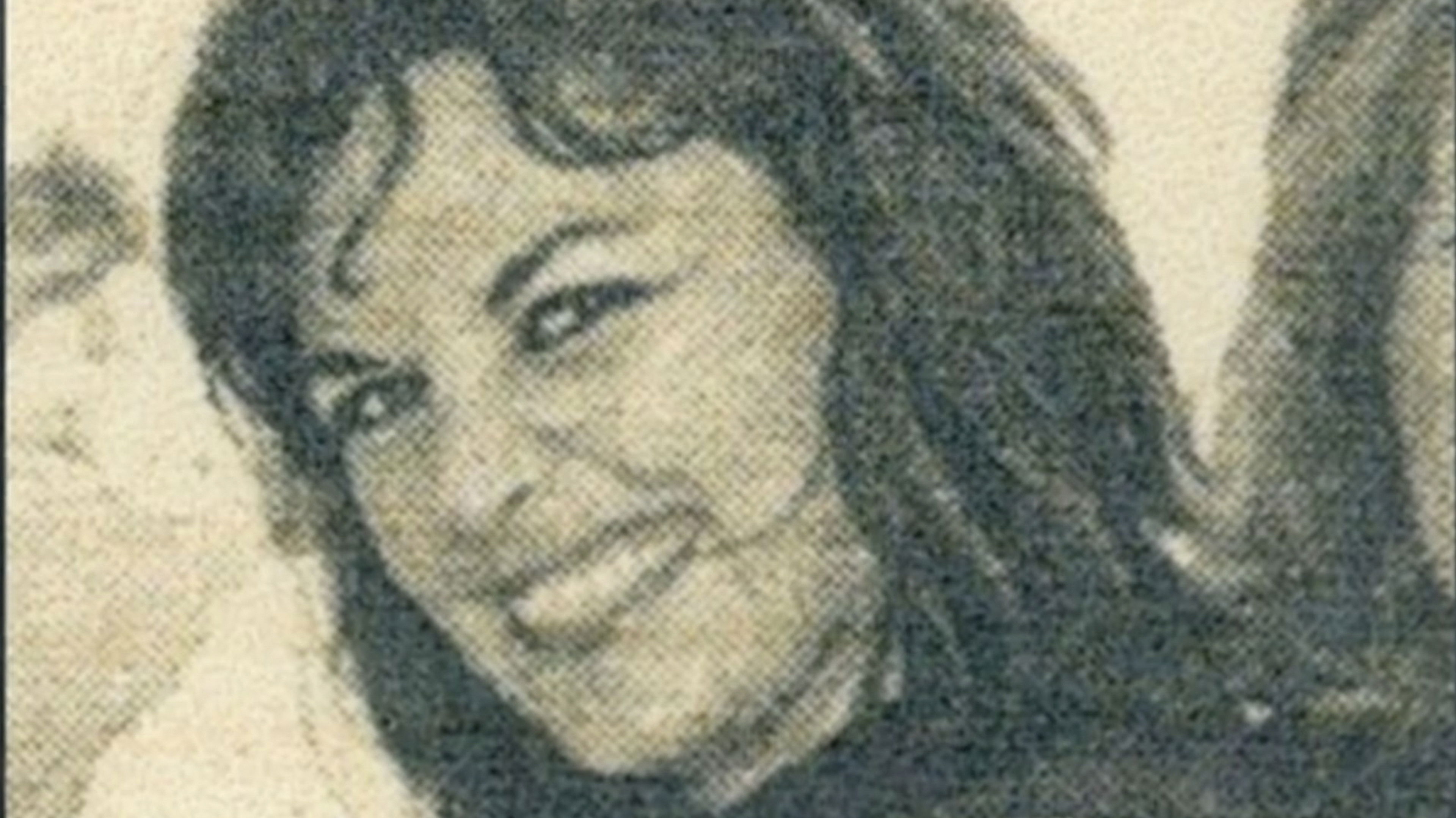 The Doctor and the Bunny