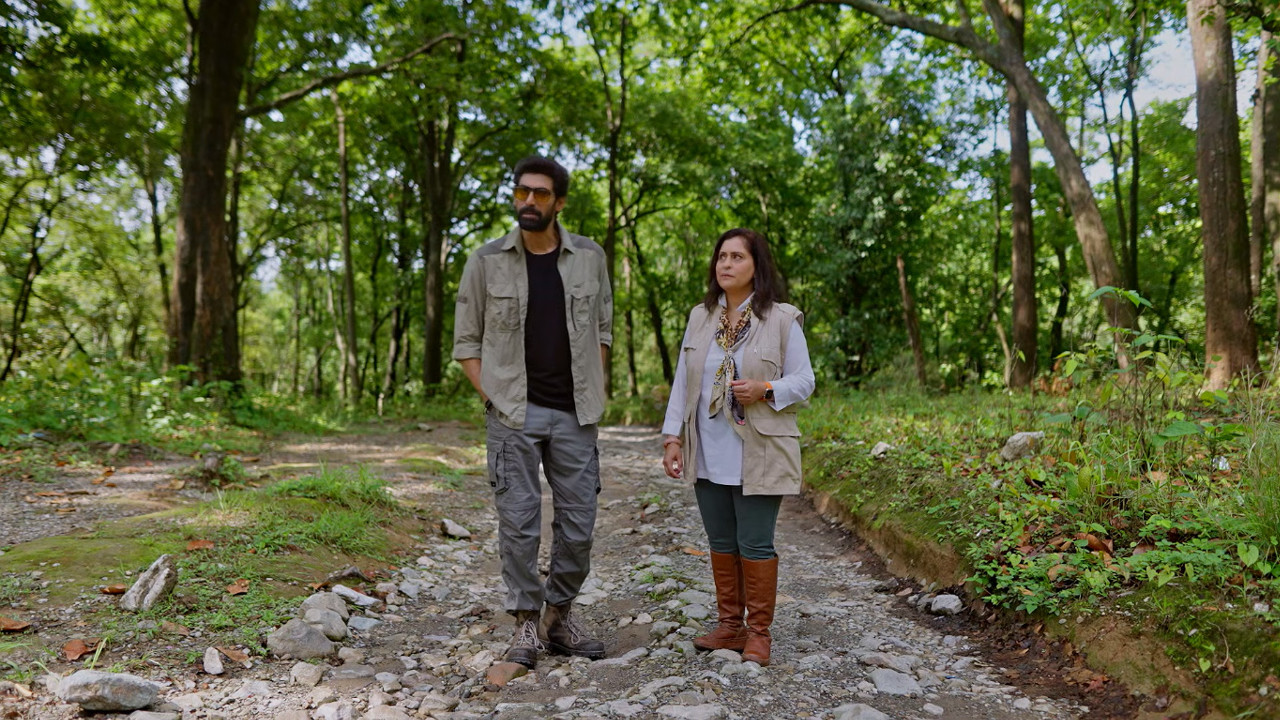 The Land of Green Guardians