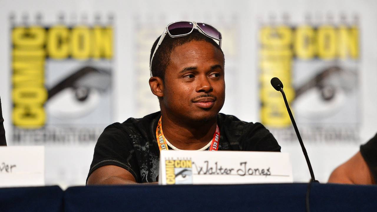 The MMPR 20th Anniversary Panel at San Diego Comic-Con International 2012